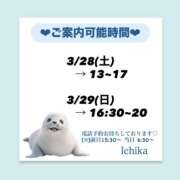 ヒメ日記 2026/03/27 10:32 投稿 いちか ハピネス東京