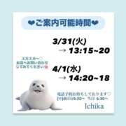 ヒメ日記 2026/03/30 09:57 投稿 いちか ハピネス東京