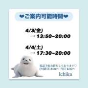 ヒメ日記 2026/04/02 10:47 投稿 いちか ハピネス東京