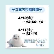 ヒメ日記 2026/04/09 09:17 投稿 いちか ハピネス東京