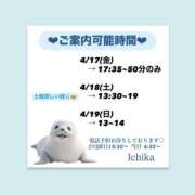 ヒメ日記 2026/04/16 11:19 投稿 いちか ハピネス東京