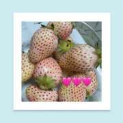 ヒメ日記 2026/04/18 06:27 投稿 いちか ハピネス東京