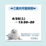 ヒメ日記 2026/04/24 10:24 投稿 いちか ハピネス東京