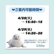 ヒメ日記 2026/04/27 09:27 投稿 いちか ハピネス東京