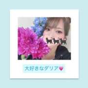 ヒメ日記 2026/04/28 06:34 投稿 いちか ハピネス東京