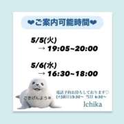 ヒメ日記 2026/05/04 10:37 投稿 いちか ハピネス東京