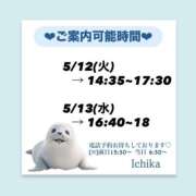 ヒメ日記 2026/05/11 10:27 投稿 いちか ハピネス東京