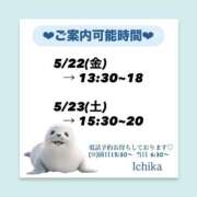 ヒメ日記 2026/05/21 10:37 投稿 いちか ハピネス東京