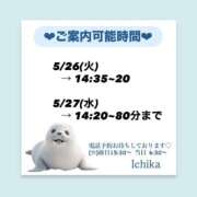 ヒメ日記 2026/05/25 10:47 投稿 いちか ハピネス東京