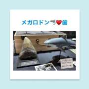 ヒメ日記 2026/05/26 06:27 投稿 いちか ハピネス東京