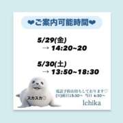 いちか 金土出勤♡ ハピネス東京