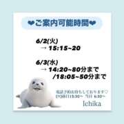ヒメ日記 2026/06/01 10:37 投稿 いちか ハピネス東京