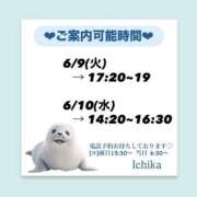 ヒメ日記 2026/06/08 10:39 投稿 いちか ハピネス東京