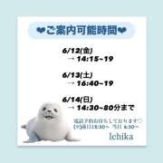 ヒメ日記 2026/06/11 08:37 投稿 いちか ハピネス東京