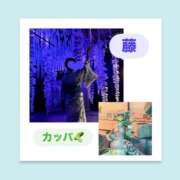 ヒメ日記 2026/06/13 06:31 投稿 いちか ハピネス東京