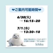 ヒメ日記 2026/06/29 09:57 投稿 いちか ハピネス東京