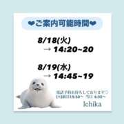 ヒメ日記 2026/08/17 10:07 投稿 いちか ハピネス東京