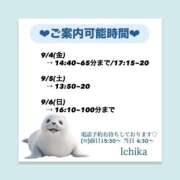 ヒメ日記 2026/09/03 08:37 投稿 いちか ハピネス東京
