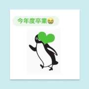 ヒメ日記 2026/09/12 06:31 投稿 いちか ハピネス東京