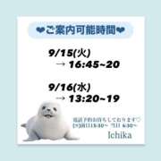 ヒメ日記 2026/09/14 10:31 投稿 いちか ハピネス東京