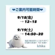ヒメ日記 2026/09/17 10:07 投稿 いちか ハピネス東京