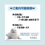 ヒメ日記 2026/09/24 09:37 投稿 いちか ハピネス東京