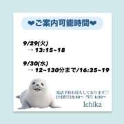 ヒメ日記 2026/09/28 09:57 投稿 いちか ハピネス東京
