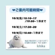 ヒメ日記 2026/10/01 10:07 投稿 いちか ハピネス東京