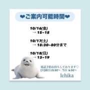 いちか 金土日🚃🚃𓈒𓂂𓏸 ハピネス東京