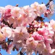 かりん こんばんは♡ 川崎・東横人妻城