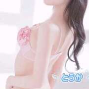 とうか 本日はお休みを頂きました😭 東京アロマスタイル