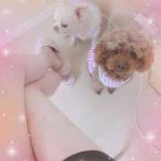 ヒメ日記 2025/04/28 09:08 投稿 松園佳代 五十路マダム愛されたい熟女たち 福山店(カサブランカグループ)