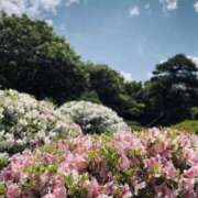 ヒメ日記 2025/05/07 12:50 投稿 松園佳代 五十路マダム愛されたい熟女たち 福山店(カサブランカグループ)