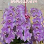 ヒメ日記 2025/06/12 10:08 投稿 松園佳代 五十路マダム愛されたい熟女たち 福山店(カサブランカグループ)