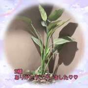 ヒメ日記 2025/11/05 19:32 投稿 松園佳代 五十路マダム愛されたい熟女たち 福山店(カサブランカグループ)