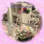 ヒメ日記 2025/11/11 08:20 投稿 松園佳代 五十路マダム愛されたい熟女たち 福山店(カサブランカグループ)