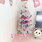 ヒメ日記 2025/12/11 16:38 投稿 松園佳代 五十路マダム愛されたい熟女たち 福山店(カサブランカグループ)