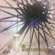 ヒメ日記 2026/04/28 08:58 投稿 松園佳代 五十路マダム愛されたい熟女たち 福山店(カサブランカグループ)