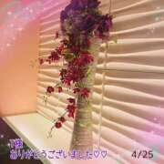 ヒメ日記 2026/04/28 09:14 投稿 松園佳代 五十路マダム愛されたい熟女たち 福山店(カサブランカグループ)
