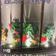 ヒメ日記 2026/05/20 10:16 投稿 松園佳代 五十路マダム愛されたい熟女たち 福山店(カサブランカグループ)