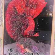 ヒメ日記 2026/06/02 12:30 投稿 松園佳代 五十路マダム愛されたい熟女たち 福山店(カサブランカグループ)