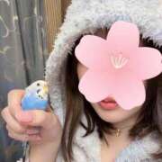 ヒメ日記 2025/04/06 15:03 投稿 さくら とろける時間～脳バク♡エステ～