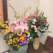 ヒメ日記 2025/04/17 18:43 投稿 さくら とろける時間～脳バク♡エステ～