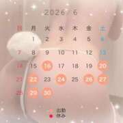 ヒメ日記 2026/06/14 16:13 投稿 さくら とろける時間～脳バク♡エステ～