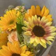 ヒメ日記 2026/07/18 07:17 投稿 さくら とろける時間～脳バク♡エステ～