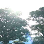 さおり 出勤しますっ シェリーエンジェル