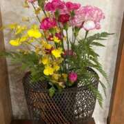 ヒメ日記 2025/11/09 12:29 投稿 美彩 夕月