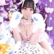 ヒメ日記 2025/10/14 12:33 投稿 らら チューリップ熊本店