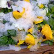 ヒメ日記 2025/03/29 08:12 投稿 こころ 熟女の風俗最終章 新宿店