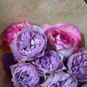 ヒメ日記 2025/04/11 23:52 投稿 こころ 熟女の風俗最終章 新宿店